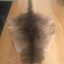 Kangaroo skin Image 3