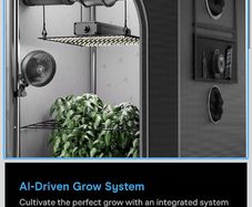 Grow kit (Lights 1000 w LED full spectrum, tent 200 cm x 200cm x120 cm, fan and charcoal filter to remove smells