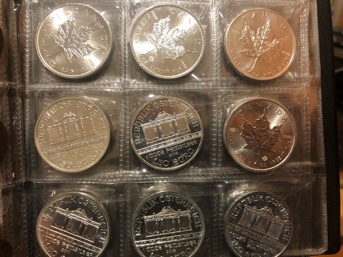 9 x 1 oz Silver Maple and Philharmonic See Description