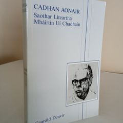Cadhan Aonair: Saothar Liteartha Mhairtin Ui Chadhain by Gearoid Denvir (GT490)