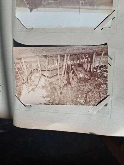 Mega Art Nouveau Postcard Album (197 Pieces)