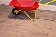 Kids red wheelbarrow