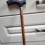Walking stick Image 2