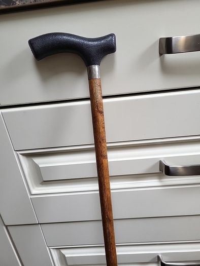 Walking stick