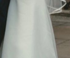 simple wedding dress and veil