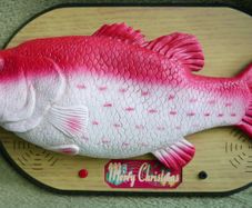 Rock King Tommy the xmas singing fish