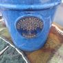 Ceramic Pot Heritage Garden design, glazed blue with nice indoor plant Image 4