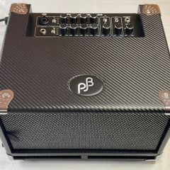 Phil Jones 100W Bass Combo Amp (BG-100)