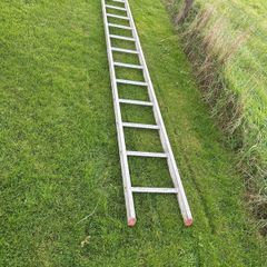 ladder