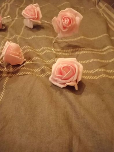 Red Rose & Pink String Lights