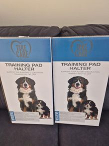 Training pad holder