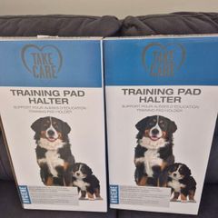 Training pad holder
