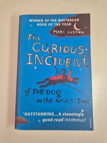 The Curious Incident of The Dog in the night-time