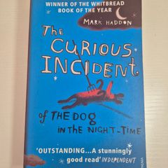 The Curious Incident of The Dog in the night-time