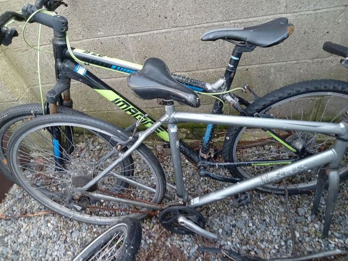 bikes