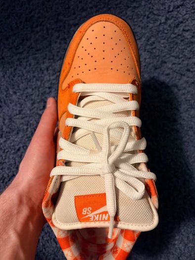 Nike SB Orange lobster