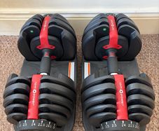Adjustable dumbbell weights 24kg x2 and pull up bar