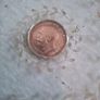 Half penny 1917 coaster Image 2