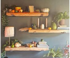 Pitch Pine Shelves Examples