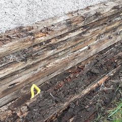 Timber sleepers