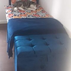 Single bed & headboard