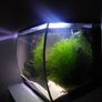 Fluval 57L aquarium kit Image 2