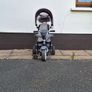 Push Trike Image 2