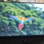 Philips 55" Smart tv 1080p 2019 Image 3