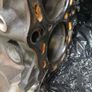 1jz gte vvti block Image 4