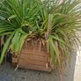 Planters Image 4