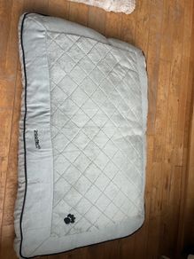 dog mat