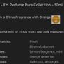 Only 1 Each!! Brand New FM Perfume & Aftershave Image 2