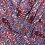 FAT FACE Womens Blouse Top - UK 12- Maroon Paisley Cotton Image 5