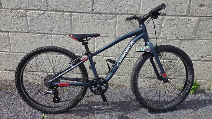 Kids Mountain Bike