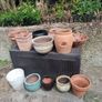 pot Image 3