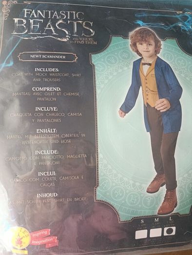 Boy fancy dress costume