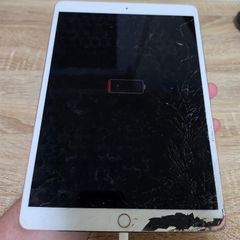 Apple iPad Pro 10.5-inch (1st Generation) with Wi-Fi + Cellular