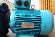 3 Phase motor