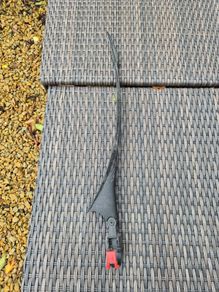 Bicycle rear guard