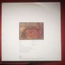 The Flying Lizards - Same Virgin New Wave promo LP Image 2