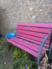 Pink garden bench