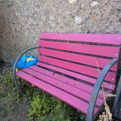 Pink garden bench