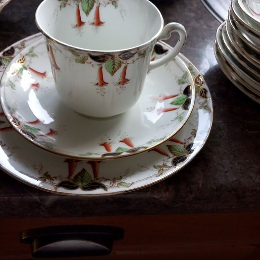 28PIECE  royal Osborne tea set