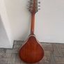 Mandolin Image 4