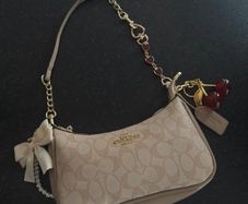 Coach Teri Bag