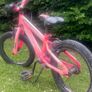 Bike 16inch Image 2