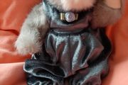 New Cat collectable 1996
