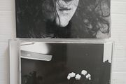 Antony And The Johnsons CDs Collection: Cut The World / I Am Bird Now