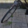 Women's bike Image 2