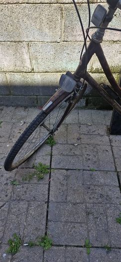 Women's bike